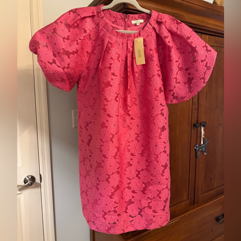 Jade Pink Floral Lace Mini Dress